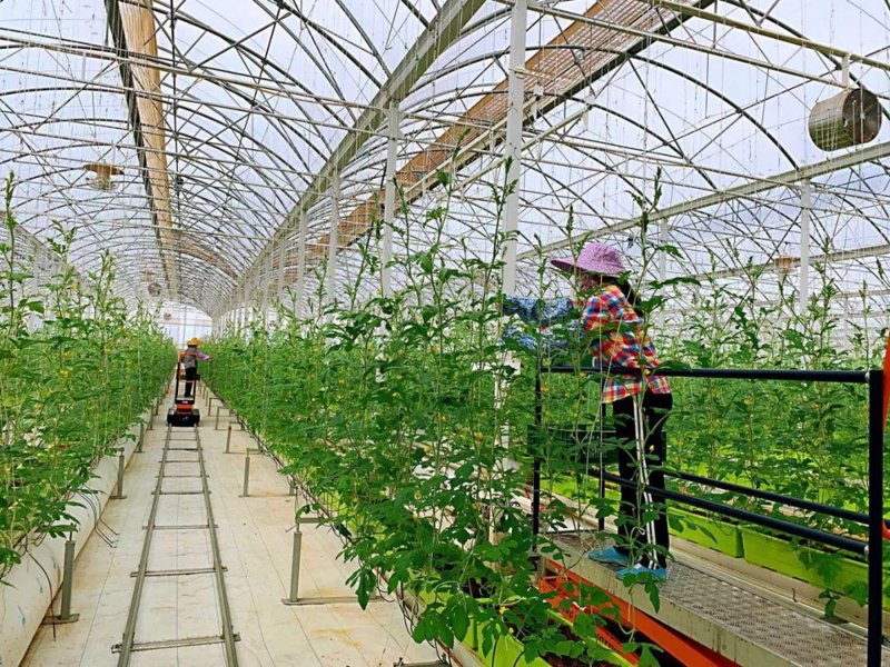 生物科技时代:探寻生物技术研发的奥秘